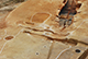 FileNo.187-028.jpg