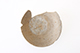 FileNo.187-039.jpg