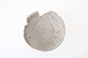 FileNo.187-042.jpg