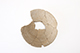 FileNo.187-048.jpg