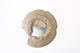 FileNo.187-050.jpg