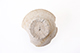 FileNo.187-053.jpg