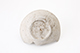 FileNo.187-056.jpg
