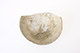 FileNo.187-066.jpg