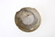 FileNo.187-069.jpg