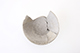 FileNo.187-075.jpg