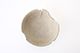 FileNo.187-078.jpg