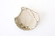 FileNo.187-087.jpg