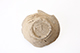 FileNo.187-110.jpg