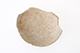 FileNo.187-111.jpg