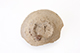 FileNo.187-113.jpg