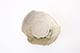 FileNo.187-120.jpg