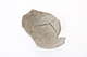 FileNo.187-126.jpg