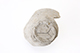 FileNo.187-128.jpg