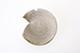 FileNo.187-135.jpg