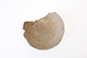 FileNo.187-150.jpg