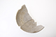 FileNo.187-156.jpg