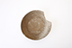 FileNo.187-159.jpg