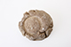 FileNo.187-164.jpg