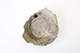 FileNo.187-171.jpg