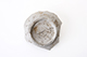FileNo.187-174.jpg