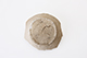 FileNo.187-182.jpg