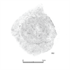 図版 187-J592T.png