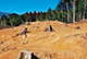 FileNo.184-009.jpg