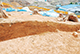 FileNo.184-017.jpg