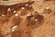 FileNo.184-023.jpg