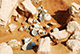 FileNo.184-026.jpg