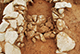 FileNo.184-033.jpg
