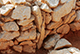 FileNo.184-034.jpg
