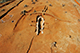 FileNo.184-040.jpg