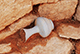 FileNo.184-042.jpg