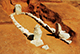 FileNo.184-047.jpg