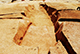 FileNo.184-050.jpg