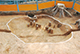 FileNo.184-054.jpg