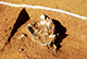 FileNo.184-063.jpg