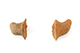 FileNo.184-119.jpg