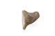 FileNo.184-130.jpg