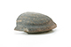 FileNo.184-133.jpg