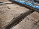 FileNo.182-005.jpg