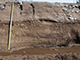 FileNo.182-007.jpg