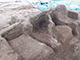 FileNo.182-009.jpg