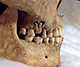 FileNo.182-025.jpg