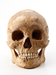 FileNo.182-026.jpg