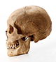 FileNo.182-027.jpg