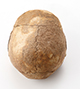 FileNo.182-028.jpg