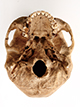 FileNo.182-029.jpg